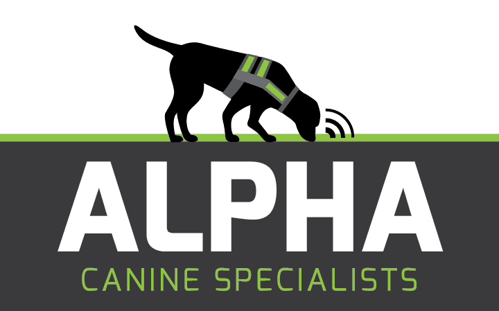 Final Logo Adjustable saddle specialists