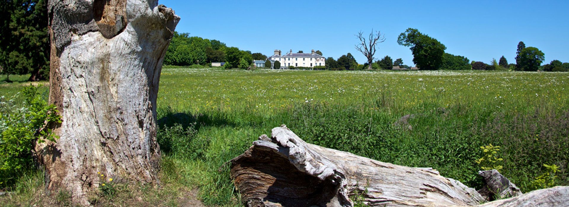 Catton Park